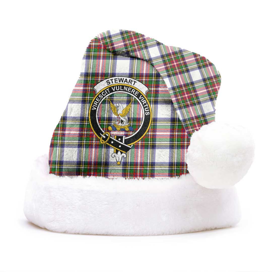 Stewart Dress Modern Clan Tartan Classic Crest Christmas Hat