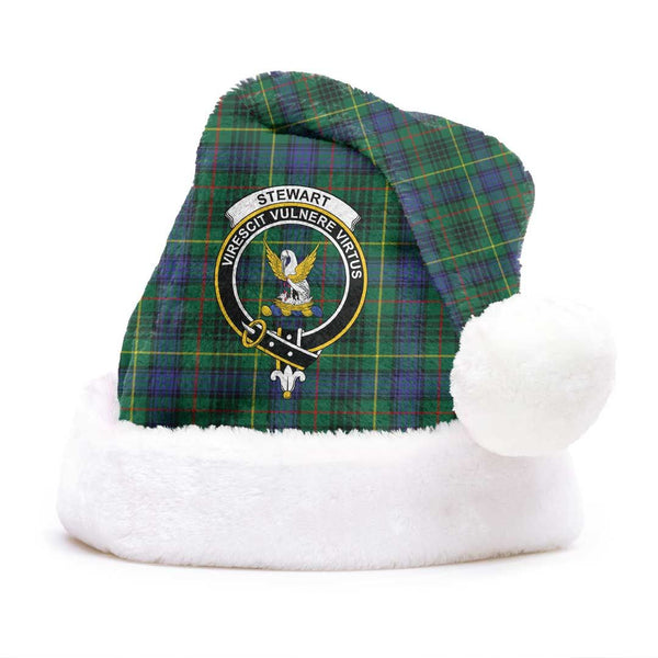 Stewart Hunting Modern Clan Tartan Classic Crest Christmas Hat